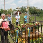 Будинкові таблички вул. Володимира Великого у селі Гійче