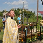 Будинкові таблички вул. Володимира Великого у селі Гійче
